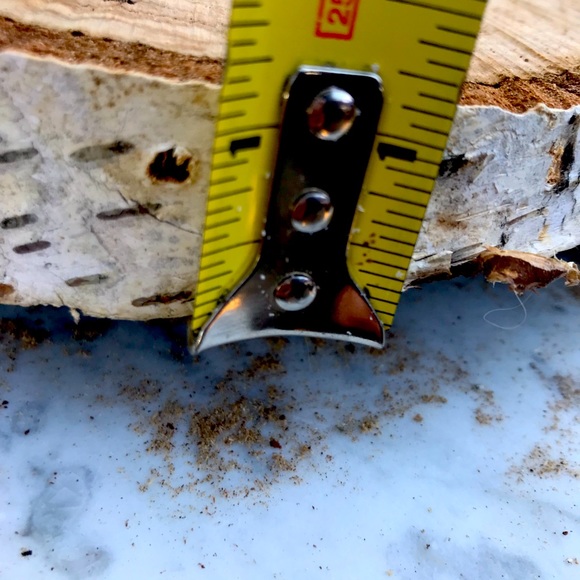 Birch Wood Disc’s wedding decor, Crafts, - Picture 2 of 2